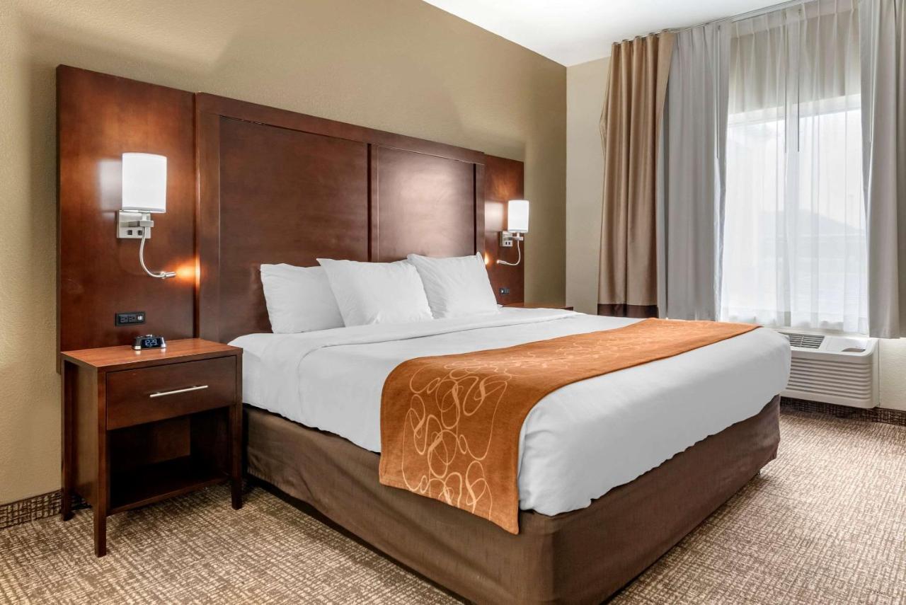 Comfort Suites Auburn Near I-69 Экстерьер фото